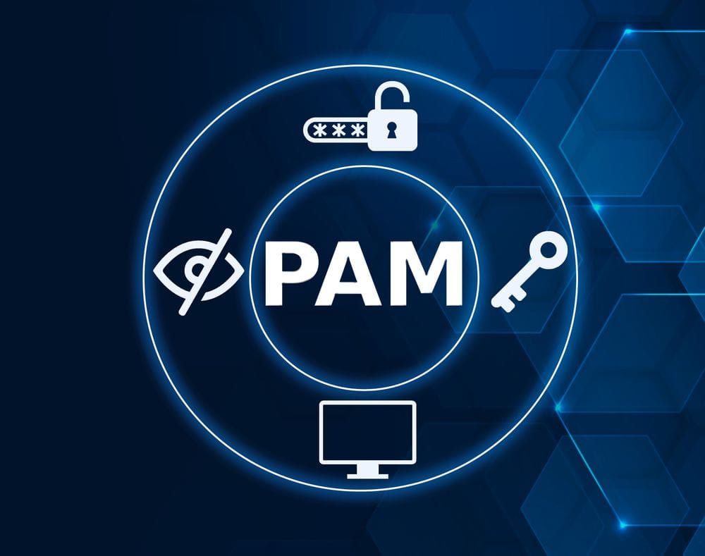 29.Mastering Privileged Access: Strategies and Best Practices for Enhanced Security